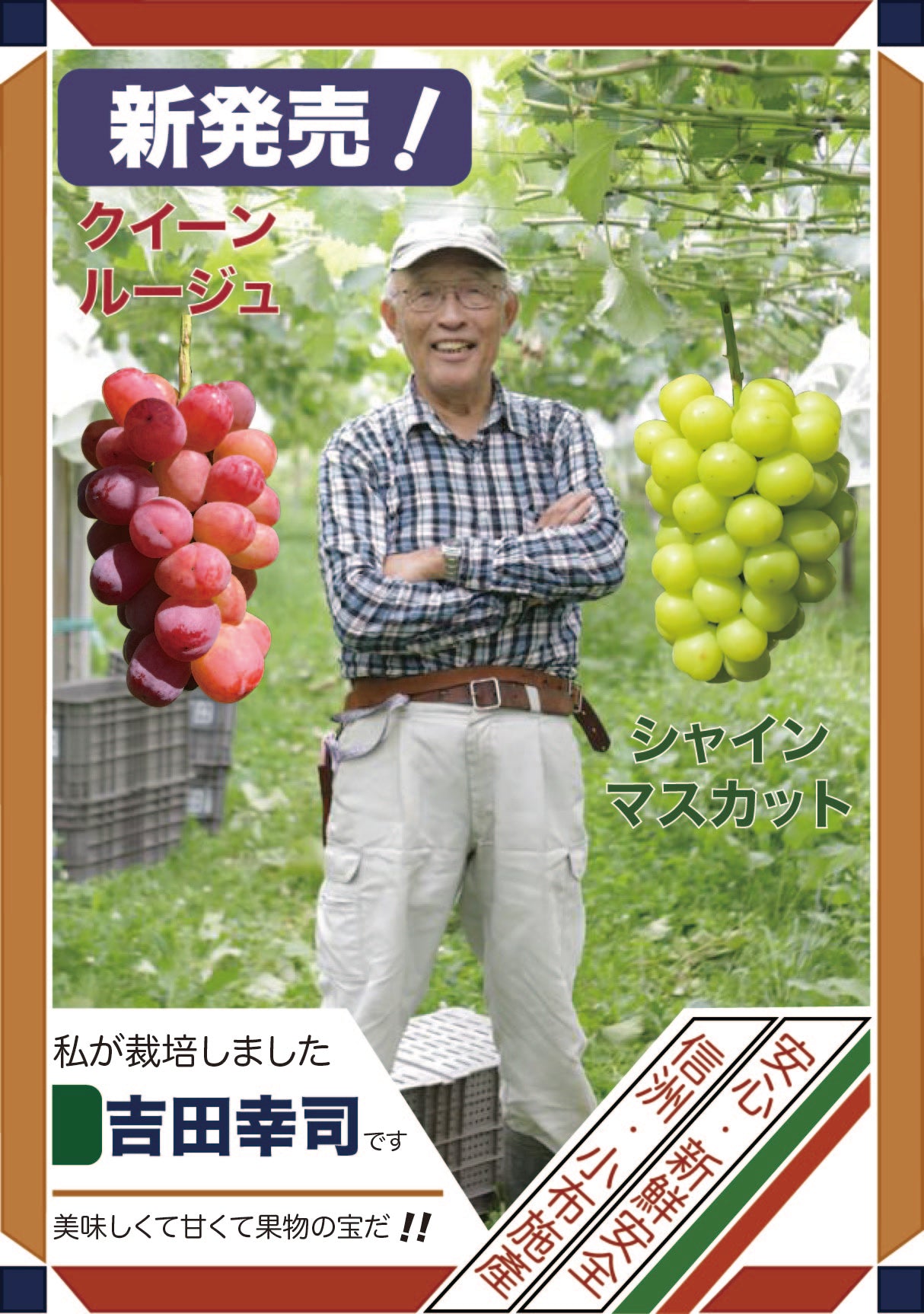 長野県須坂市小布施町產Queen Rouge クイーンルージュとShine Muscat シャインマスカット香印葡萄-吉田幸司果園 各一房