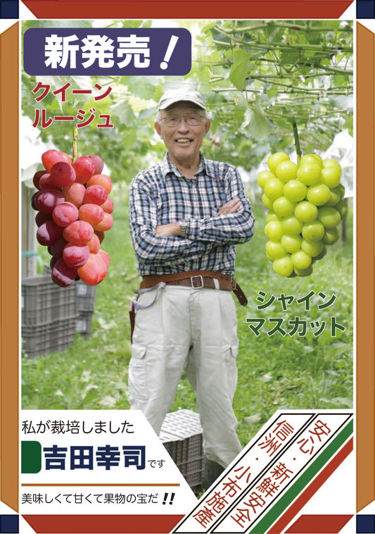 長野県須坂市小布施町產Queen Rouge クイーンルージュとShine Muscat シャインマスカット香印葡萄-吉田幸司果園 各一房