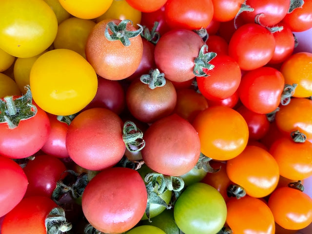 【現貨】日本長野県空運直送抵港-多彩Mini蕃茄Color Mini Tomato-長野県カラフルミニトマト-長野ベリーファーム
