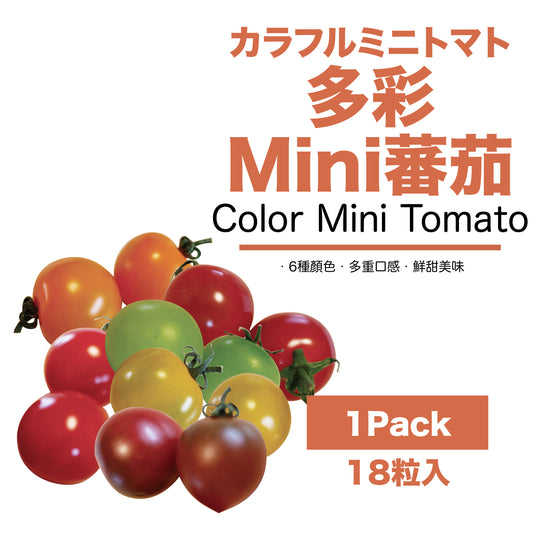 【現貨】日本長野県空運直送抵港-多彩Mini蕃茄Color Mini Tomato-長野県カラフルミニトマト-長野ベリーファーム