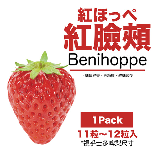 【現貨】日本長野県空運直送抵港-紅臉頰-紅ほっぺ士多啤梨LLL超特大-長野ベリーファーム(Nagano Berry Farm)提供